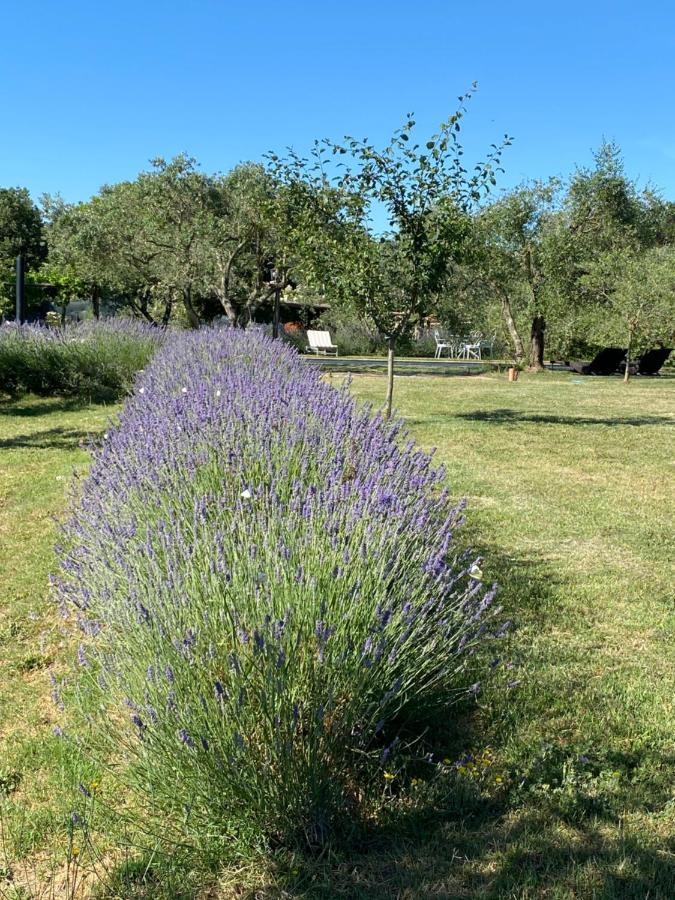 Agriturismo La Cervaiola Piccola Dimora Di Campagna Porano Exterior foto