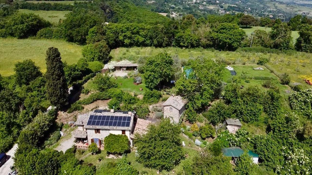 Agriturismo La Cervaiola Piccola Dimora Di Campagna Porano Exterior foto